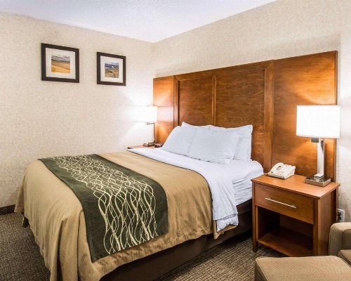 Quality Inn image 14